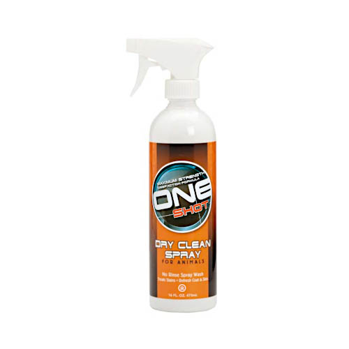 ONE Shot Dry Clean product image
