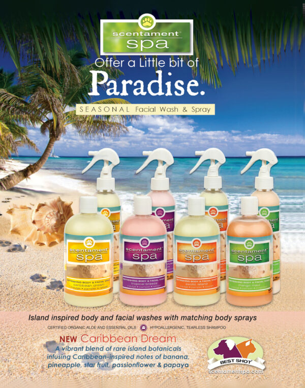 Better Facial & Body Wash - Summer/Spring Assortment - Image 2