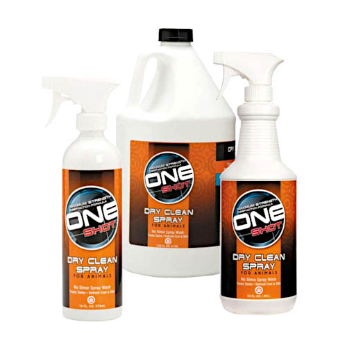 ONE Shot Dry Clean product image