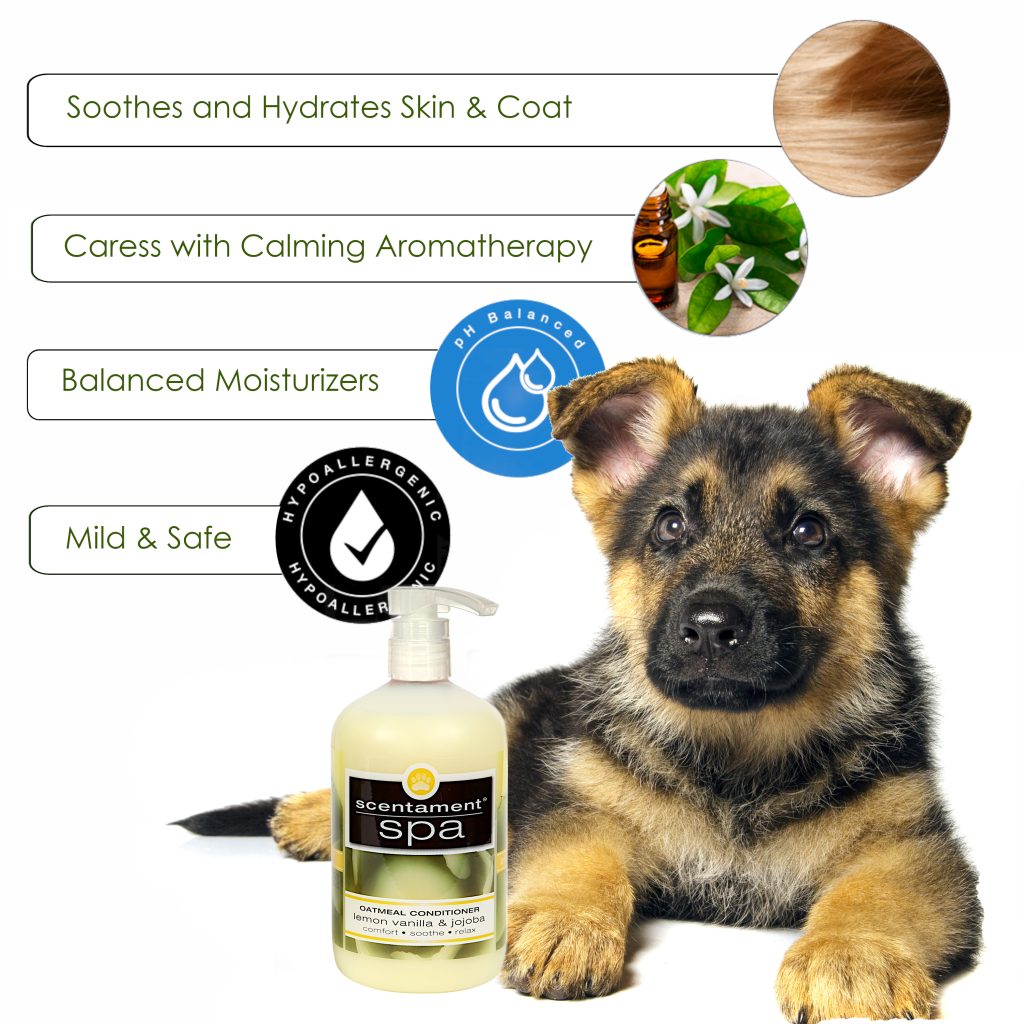 Soothing Oatmeal Lemon Vanilla Collection Best Shot Pet Products