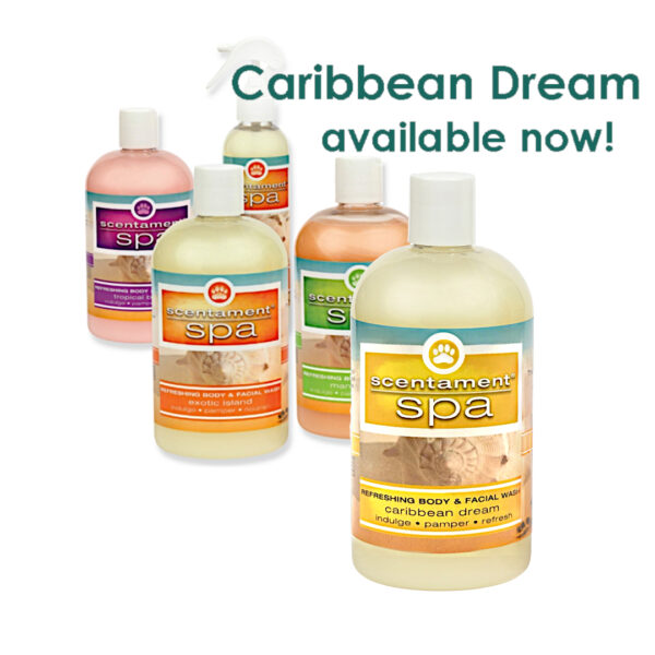 Better Facial & Body Wash - Summer/Spring Assortment