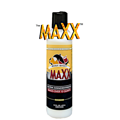 The MAXX
