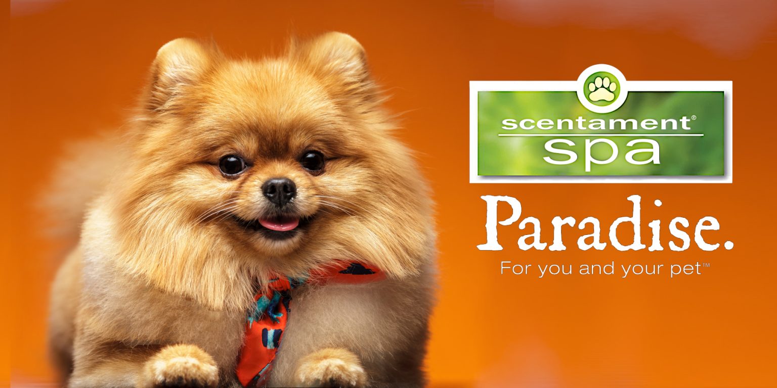 Scentament Spa Archives Best Shot Pet Products