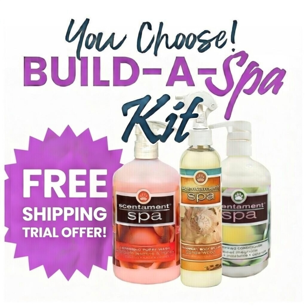 BUILD-A-SPA Kit