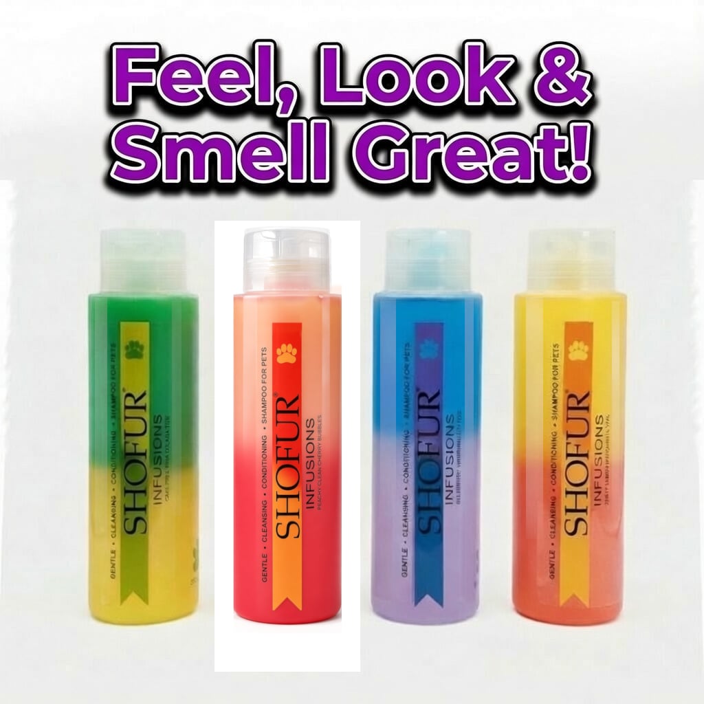 Shofur Infusions