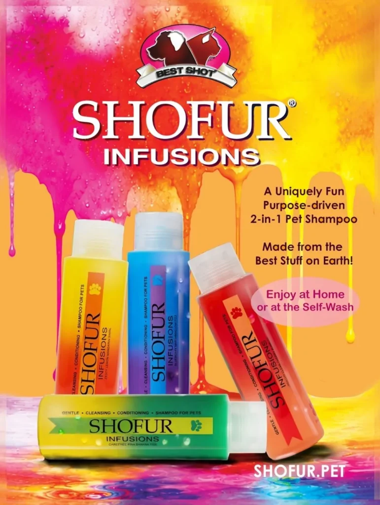 Shofur Infusions infographic